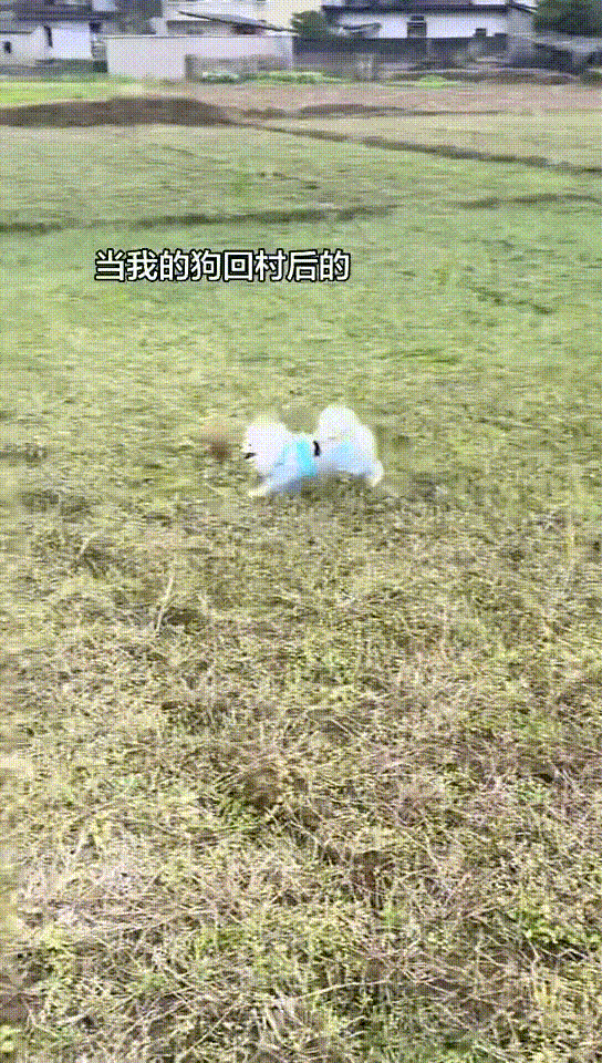 ���帣����ͼ�Ʒ�ϵ�� ��Ů�����Ҳ̫����˰�