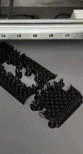 3DM����һ�̵�1682�� ������������Ů��ֵ����