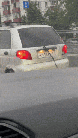 ��һ�ں���ͼ�Ʒ�ϵ�� �Ż���Ů�˳ɹ�������ע��