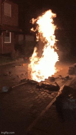 ��һ�ں���ͼ�Ʒ�ϵ�� �Ż���Ů�˳ɹ�������ע��