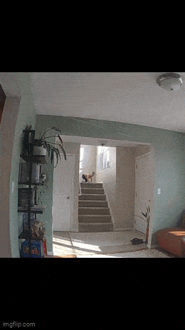 ��һ�ں���ͼ�Ʒ�ϵ�� �Ż���Ů�˳ɹ�������ע��