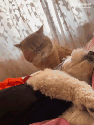 ���帣����ͼ�Ʒ�ϵ�� ��Ů�����Ҳ̫����˰�