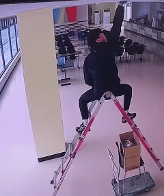 ���帣����ͼ�Ʒ�ϵ�� ��Ů�����Ҳ̫����˰�