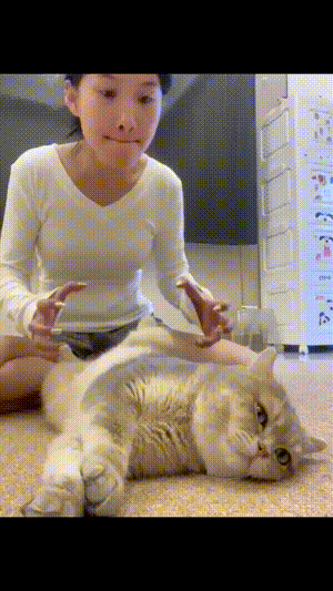 ���帣����ͼ�Ʒ�ϵ�� ��Ů�����Ҳ̫����˰�