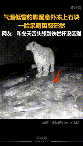 ���帣����ͼ�Ʒ�ϵ�� ��Ů�����Ҳ̫����˰�