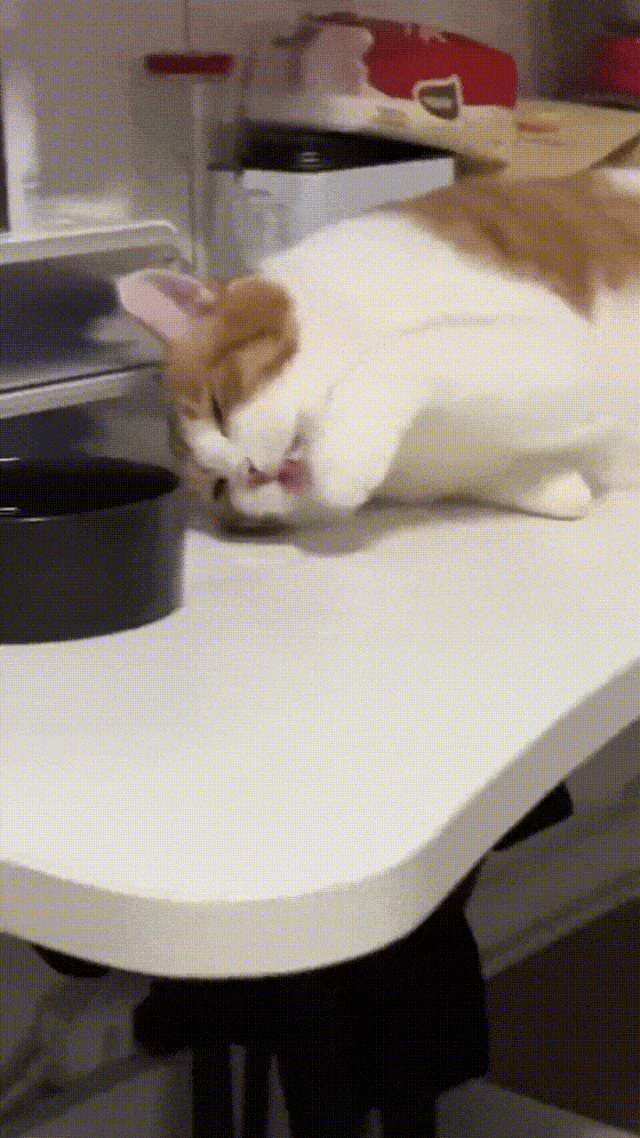 ���帣����ͼ�Ʒ�ϵ�� ��Ů�����Ҳ̫����˰�