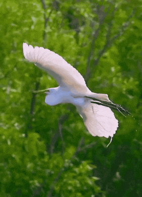 ���帣����ͼ�Ʒ�ϵ�� ��Ů�����Ҳ̫����˰�