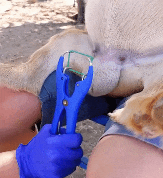 ���帣����ͼ�Ʒ�ϵ�� ��Ů�����Ҳ̫����˰�