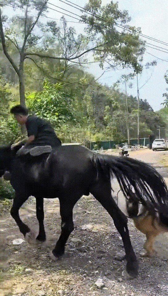 ���帣����ͼ�Ʒ�ϵ�� ��Ů�����Ҳ̫����˰�