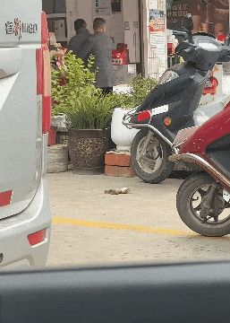 ���帣����ͼ�Ʒ�ϵ�� ��Ů�����Ҳ̫����˰�