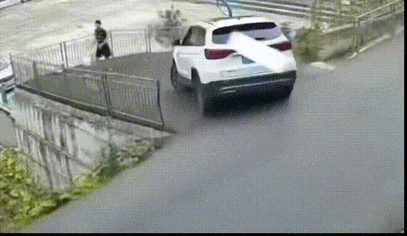 3DM����һ�̵�1682�� ������������Ů��ֵ����