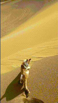 ���帣����ͼ�Ʒ�ϵ�� ��Ů�����Ҳ̫����˰�