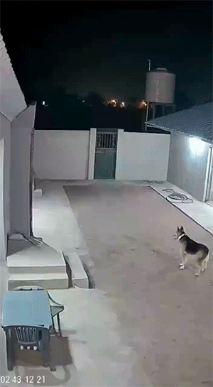 ���帣����ͼ�Ʒ�ϵ�� ��Ů�����Ҳ̫����˰�