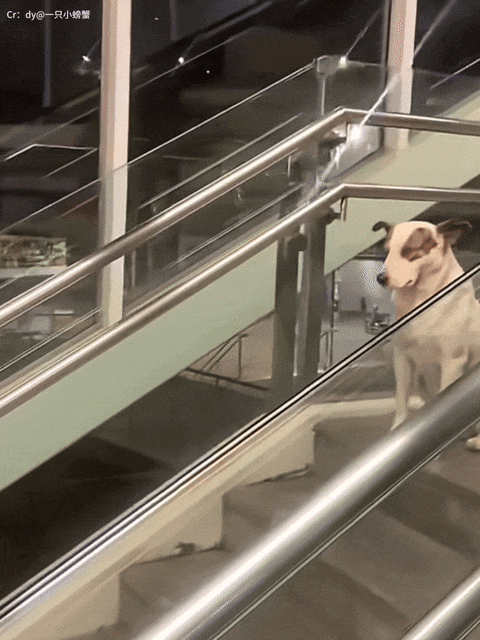 ���帣����ͼ�Ʒ�ϵ�� ��Ů�����Ҳ̫����˰�