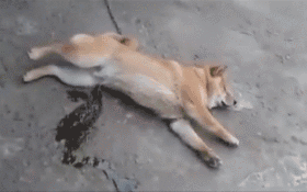 ���帣����ͼ�Ʒ�ϵ�� ��Ů�����Ҳ̫����˰�