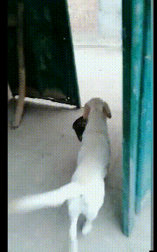 ���帣����ͼ�Ʒ�ϵ�� ��Ů�����Ҳ̫����˰�