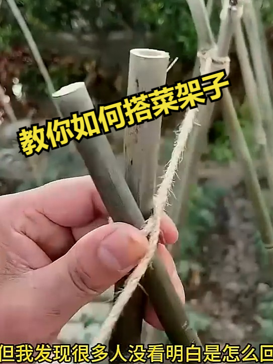 教你如何搭菜架子