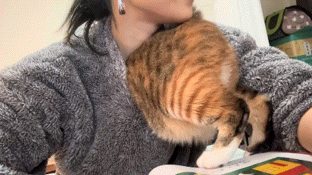 ���帣����ͼ�Ʒ�ϵ�� ��Ů�����Ҳ̫����˰�