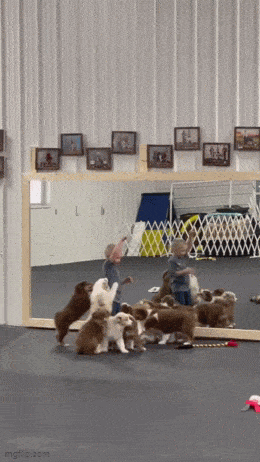 ���帣����ͼ�Ʒ�ϵ�� �����ڽ��������α���Χ��