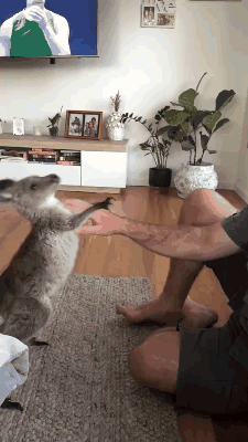 ���帣����ͼ�Ʒ�ϵ�� �����ڽ��������α���Χ��