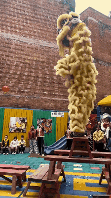 ���帣����ͼ�Ʒ�ϵ�� �����ڽ��������α���Χ��