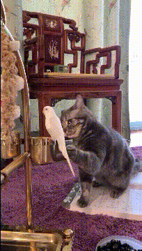 3DM����һ�̵�1686�� ��м�ʦ��Ϊ��ѧ������