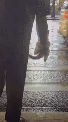 3DM����һ�̵�1686�� ��м�ʦ��Ϊ��ѧ������