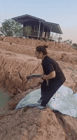 3DM����һ�̵�1686�� ��м�ʦ��Ϊ��ѧ������