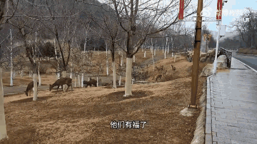 3DM����һ�̵�1686�� ��м�ʦ��Ϊ��ѧ������