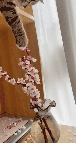 3DM轻松一刻第1686期 你叫技师是为了学外语吗？