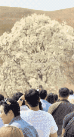 3DM轻松一刻第1686期 你叫技师是为了学外语吗？