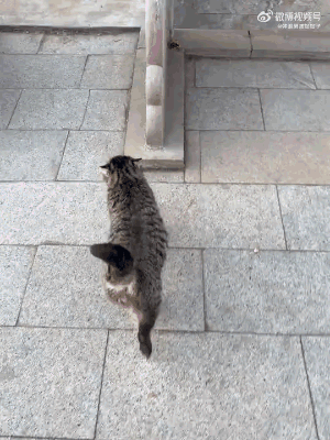 ��һ�ں���ͼ�Ʒ�ϵ�� �����δ���������治��