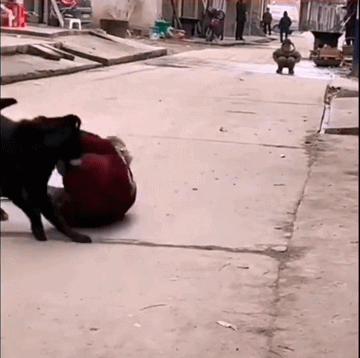 3DM轻松一刻第1686期 你叫技师是为了学外语吗？