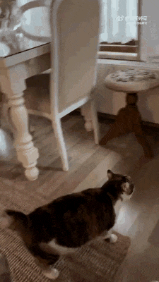 ��һ�ں���ͼ�Ʒ�ϵ�� �����δ���������治��