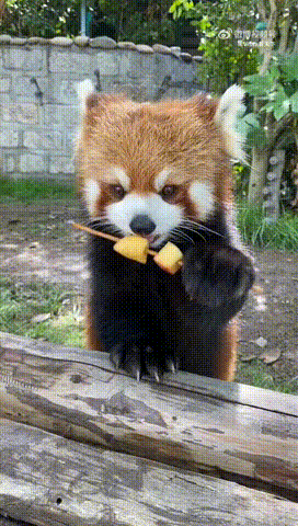 3DM����һ�̵�1686�� ��м�ʦ��Ϊ��ѧ������