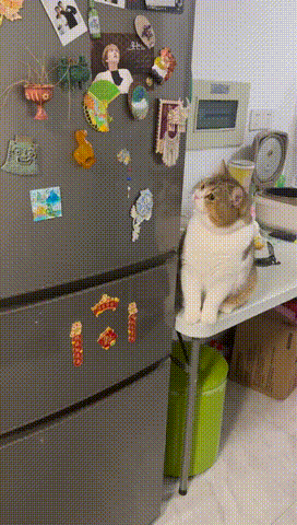 3DM轻松一刻第1686期 你叫技师是为了学外语吗？