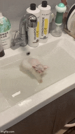 ���帣����ͼ�Ʒ�ϵ�� �����ڽ��������α���Χ��