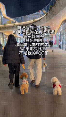 ���帣����ͼ�Ʒ�ϵ�� �����ڽ��������α���Χ��