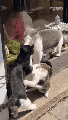 ���帣����ͼ�Ʒ�ϵ�� �����ڽ��������α���Χ��