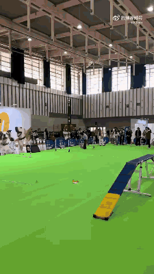 ���帣����ͼ�Ʒ�ϵ�� �����ڽ��������α���Χ��