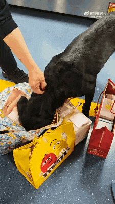 ���帣����ͼ�Ʒ�ϵ�� �����ڽ��������α���Χ��