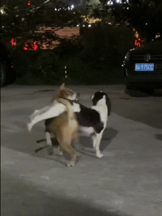 ���帣����ͼ�Ʒ�ϵ�� �����ڽ��������α���Χ��