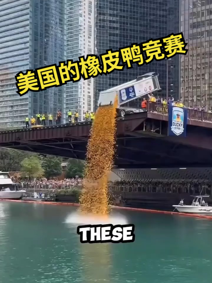 美国的橡皮鸭竞赛