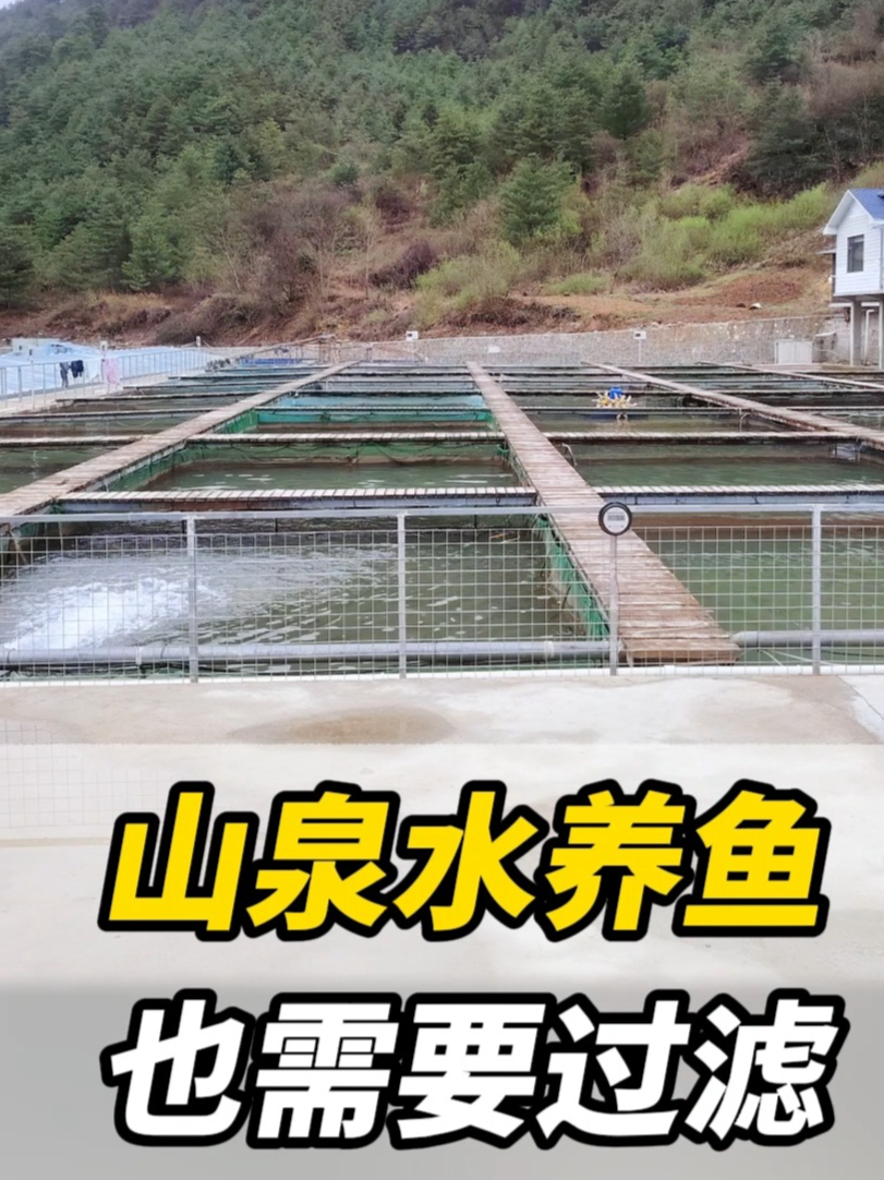 4月10日山泉水养鱼也需要过滤