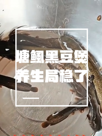 塘鲺黑豆煲,养生局稳了#健康生活打卡日记# #乡村大锅煮##养生汤# #健康饮食##舌尖上