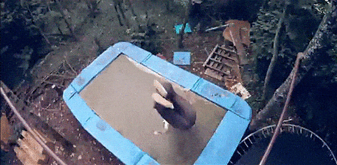 3DM����һ�̵�1698�� ����������ʲô�赸����