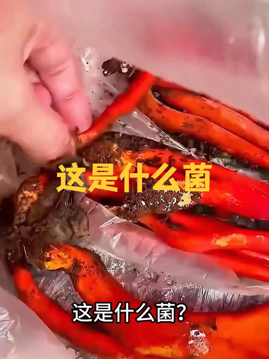 这是什么菌