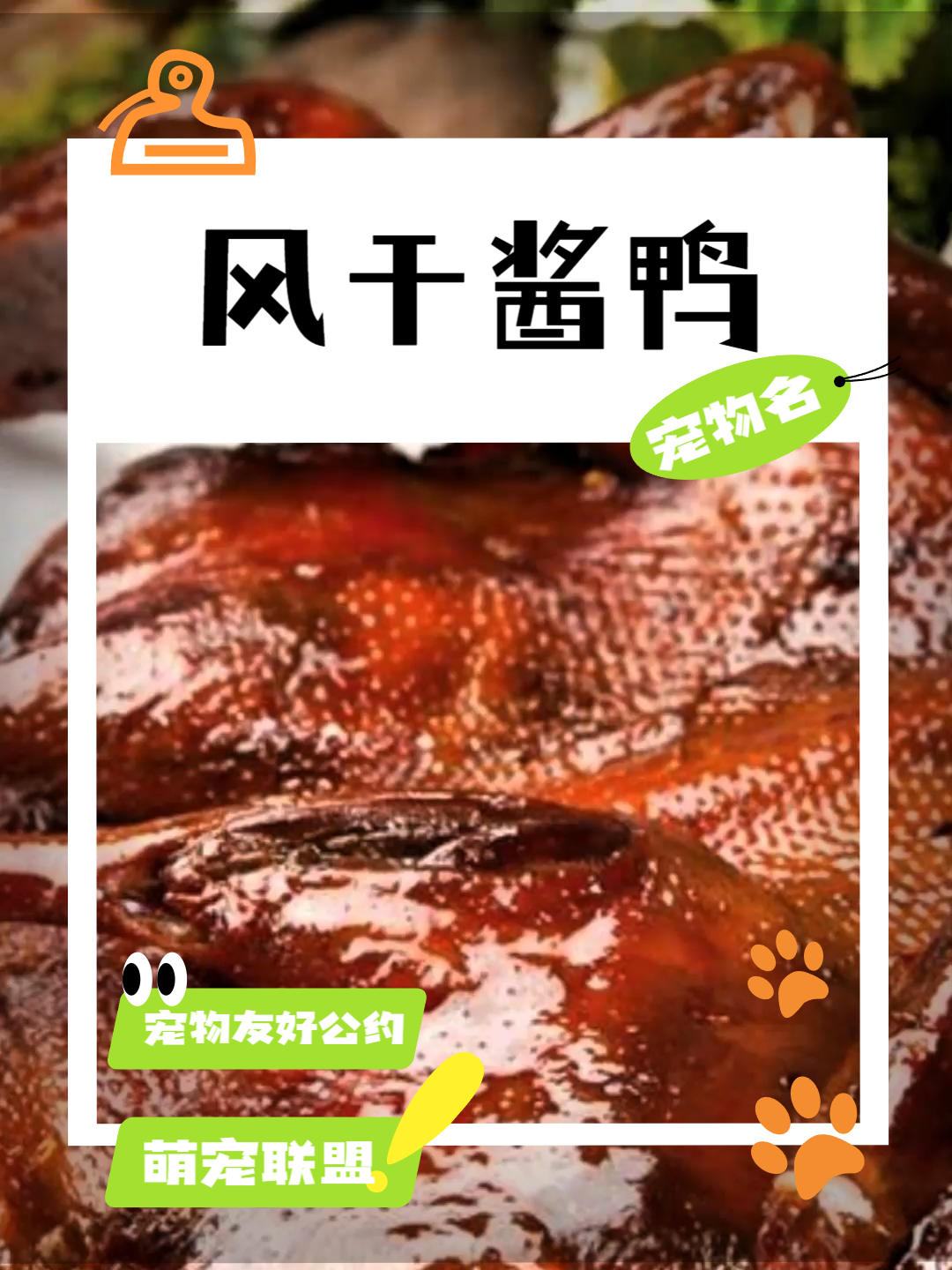 小吃配方之风干酱鸭 #小吃配方# #风干酱鸭# #江南美食# #传统手工艺# #特色卤味#