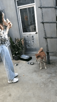 ���帣����ͼ�Ʒ�ϵ�� ÿ���������ж���һ������