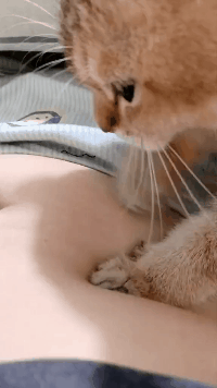���帣����ͼ�Ʒ�ϵ�� ÿ���������ж���һ������